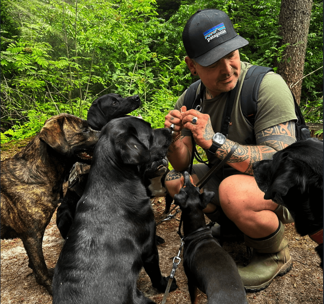 Dog-Connect — blije honden op wandeling